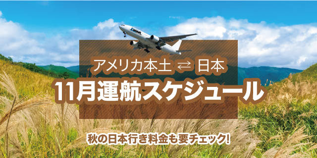 Amnet アメリカ発 日本行き 格安航空券のアムネット