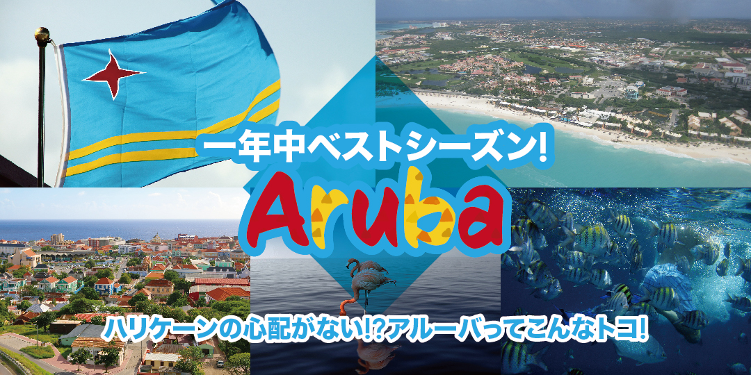 Aruba（アルーバ）