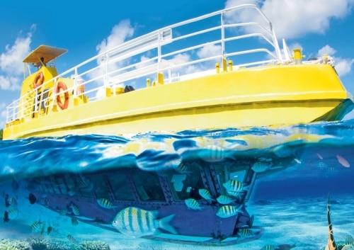 Amnet｜カンクン発オプショナルツアー｜水中散歩「SUBSEE」｜ツアーで使用される特製の船の全貌