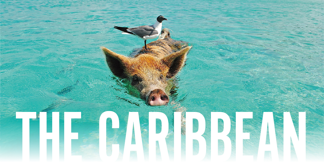 The Caribbean（カリブ海）